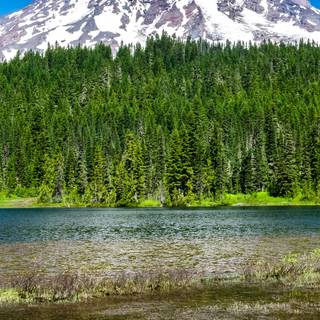 Washington iPhone wallpaper