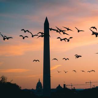 Washington iPhone wallpaper