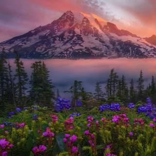 Washington iPhone wallpaper