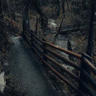 Washington iPhone wallpaper