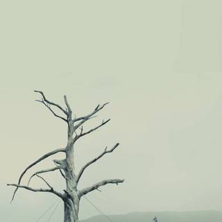 Bladerunner 2049 phone wallpaper