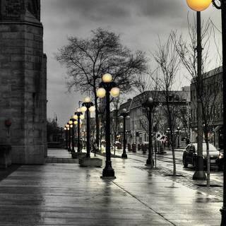 Street lamp iPhone wallpaper