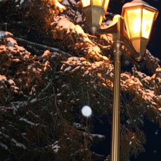 Street lamp iPhone wallpaper