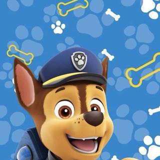 Paw Patrol phone wallpaper