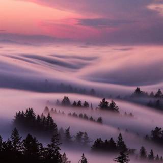 iPhone flow wallpaper