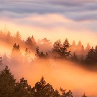 iPhone flow wallpaper