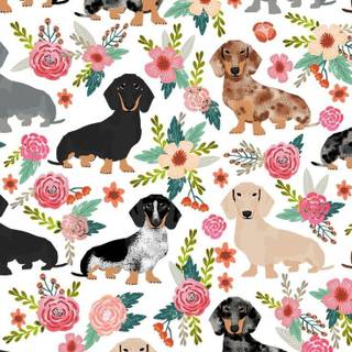 iPhone Basset Hounds wallpaper