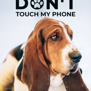 iPhone Basset Hounds wallpaper