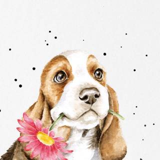 iPhone Basset Hounds wallpaper
