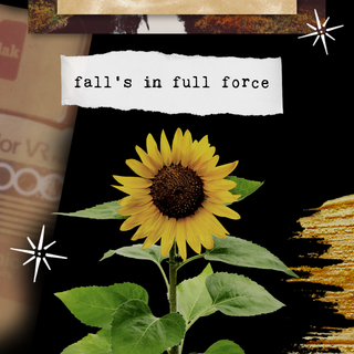 Collage aesthetic iPhone wallpaper