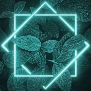 Best iPhone 14 Pro Max wallpaper