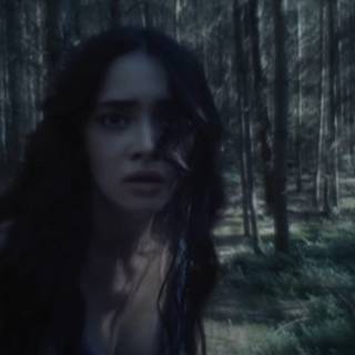 Dying Light: The Beast wallpaper