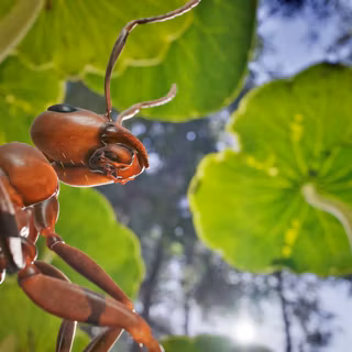 Empire of the Ants wallpaper