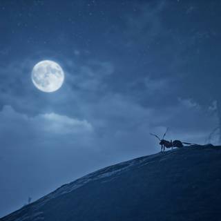 Empire of the Ants wallpaper