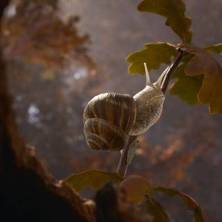 Empire of the Ants wallpaper