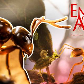 Empire of the Ants wallpaper