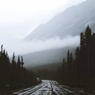 Rain iPhone 4k wallpaper