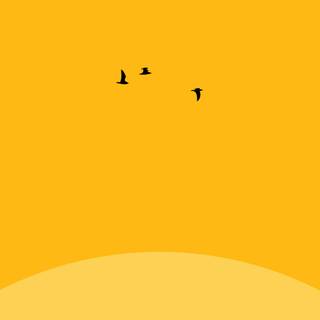 Yellow minimal 4k wallpaper