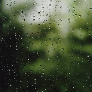 Rain iPhone 4k wallpaper