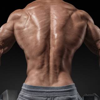 Gym poster 4k wallpaper