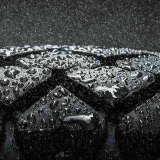 Rain iPhone 4k wallpaper