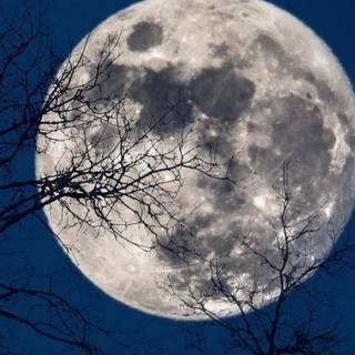 iPhone 4k moon wallpaper