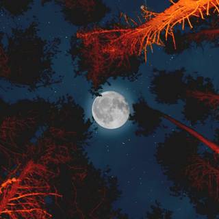 iPhone 4k moon wallpaper