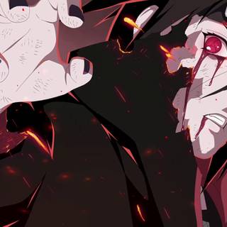 Saringan 4k wallpaper