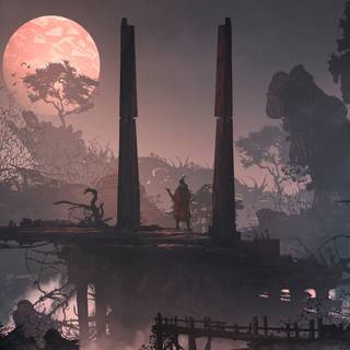 Lonely samurai wallpaper