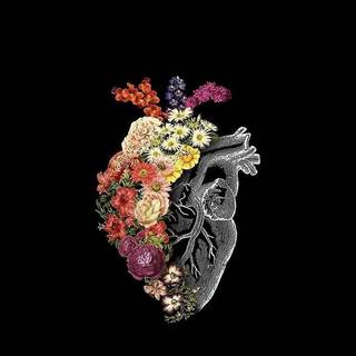 Medical iPhone wallpaper