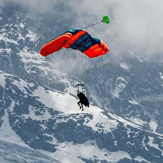 Sport phone wallpaper