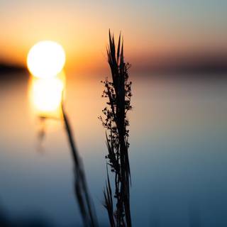 Lake sunset iPhone wallpaper