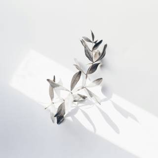 White minimalist phone wallpaper