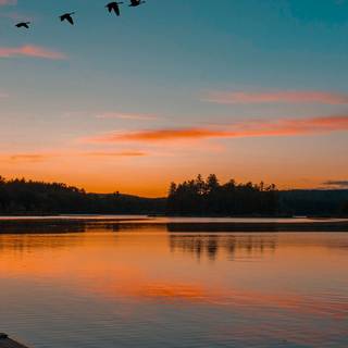 Lake sunset iPhone wallpaper