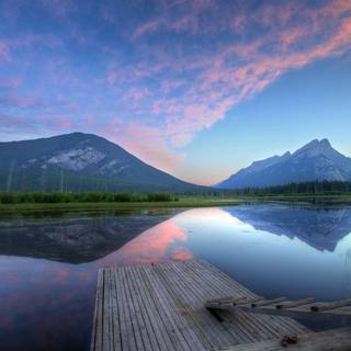 Peace nature wallpaper