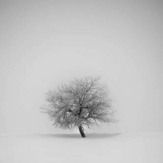 White minimalist phone wallpaper