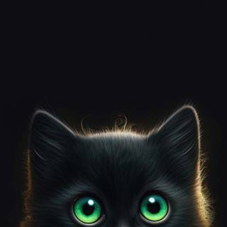 Dark cat iPhone wallpaper