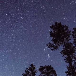 Night time phone wallpaper