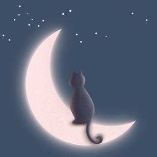 Night time phone wallpaper