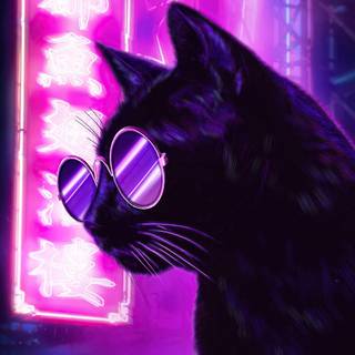 Dark cat iPhone wallpaper