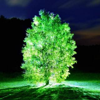 Night time phone wallpaper