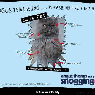 Angus, Thongs and Perfect Snogging wallpaper