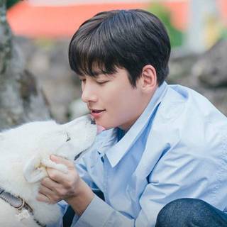 Welcome to Samdal-ri wallpaper