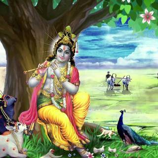 Lord Krishna with cow wallpaper