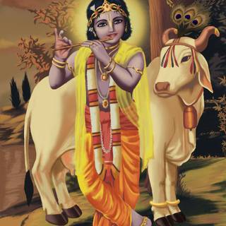 Lord Krishna with cow wallpaper