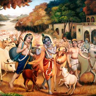 Lord Krishna with cow wallpaper