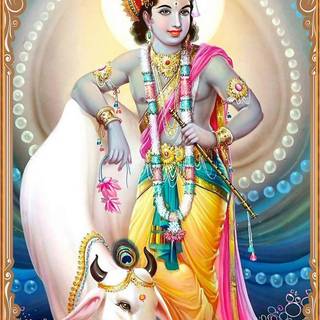 Lord Krishna with cow wallpaper