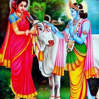 Lord Krishna with cow wallpaper