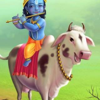 Lord Krishna with cow wallpaper