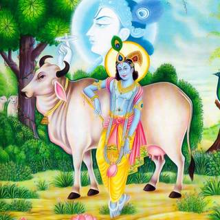 Lord Krishna with cow wallpaper